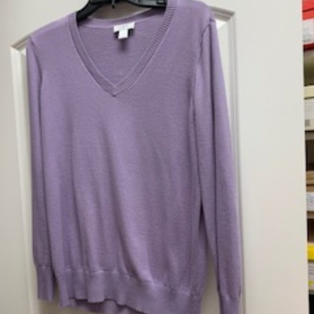 Ann Taylor LOFT Sweater
